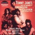 The Essentials: Tommy James & the Shondells - It's Only Love