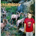 Grandaddy - Nature Anthem