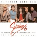Survivor - Feels Like Love