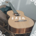 皓南吉他 - 知否知否 (古典吉他版)