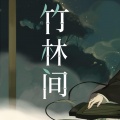 伶然而行 - 竹林间
