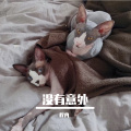 程冉 - 没有意外