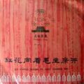 Wanda Sá - 雷锋叔叔望着我们笑