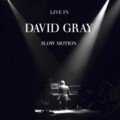 David Gray - Please Forgive Me