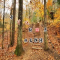 歌者柠檬 - 希望你能回来