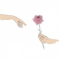 ROOK1E - sweetheart