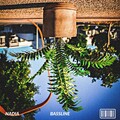 Nadia - Bassline