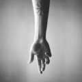 ondi vil、mouse - letting you go