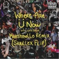 Where Are Ü Now with Justin Bieber (Marshmello Remix)(Skrillex Flip)