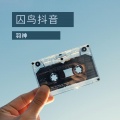 羽神 - 囚鸟抖音