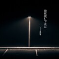 肖斯塔 - 我在黄灯下走过