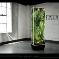 Twin Atlantic - What Is Light? Where Is Laughter?