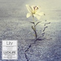 ラックライフ - Lily (《文豪野犬》第三季ED)