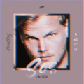 绘师岸田 - Avicii-SOS (绘师岸田 remix)
