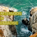 Afternoon in Paradise, Vol. 2(Finest Selection of Modern Progressive House & Electro House Tunes)