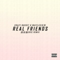 颜辰鑫Eric - Crazy Bucket-Real Friends (颜辰鑫Eric remix)