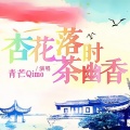 青芒Qimo - 杏花落时茶幽香