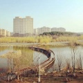 张馨心 - 成都