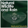 Natural Wildlife and Rain