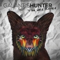 Tom Hex、Galantis - Hunter (Tom Hex Remix)