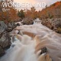 Flynn - Wonderland
