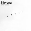 Bluebebleu、Ty Fighter - Nirvana (Explicit)