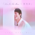 连淮伟 - Love In The Mirror | 理想画