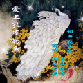 杜木格格 - 爱上孔雀的鱼