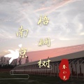 春小光 - 南京梧桐树