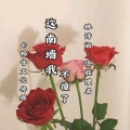林诗涵、隐姓埋名 - 这南墙我不撞了