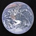 Tom Caruana、Amy True、Wordsmiff Flip、Chester P - Mad World