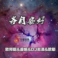 李豪、虞姬、DJ志泽、洋菟 - 我中了抖音的毒 (DJ版)