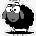 Alexander Friisor、Vashelite - Blacksheep