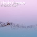 David Hollandsworth - Liquid Dreams