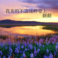翻翻 - 我真的不该这样爱上