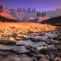翻翻 - 因为爱过