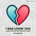 I Was Lovin' You (feat. Dots Per Inch & Ayak)(Sammy Porter Remix)