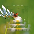Riccardo De Polo - Funk It Up