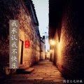 风眠 - 我承认我不快乐