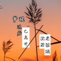 沈若、老玻璃 - 我的歌谣再无她 (纯音乐)
