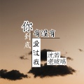 沈若 - 你到底有没有爱过我 (纯音乐)