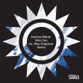 Andrew Meller - Moves