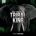 JSanz、Diego Antoine - Tribal King
