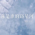 你是谁的路星河