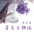 周诗雨 - 廉价挥霍