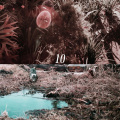 10
