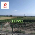 Djmis (DJ版)