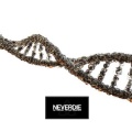NEVERDIE - D.N.A