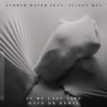 In My Last Life (Dave DK Remix)