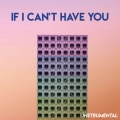 If I Can't Have You (Instrumental)